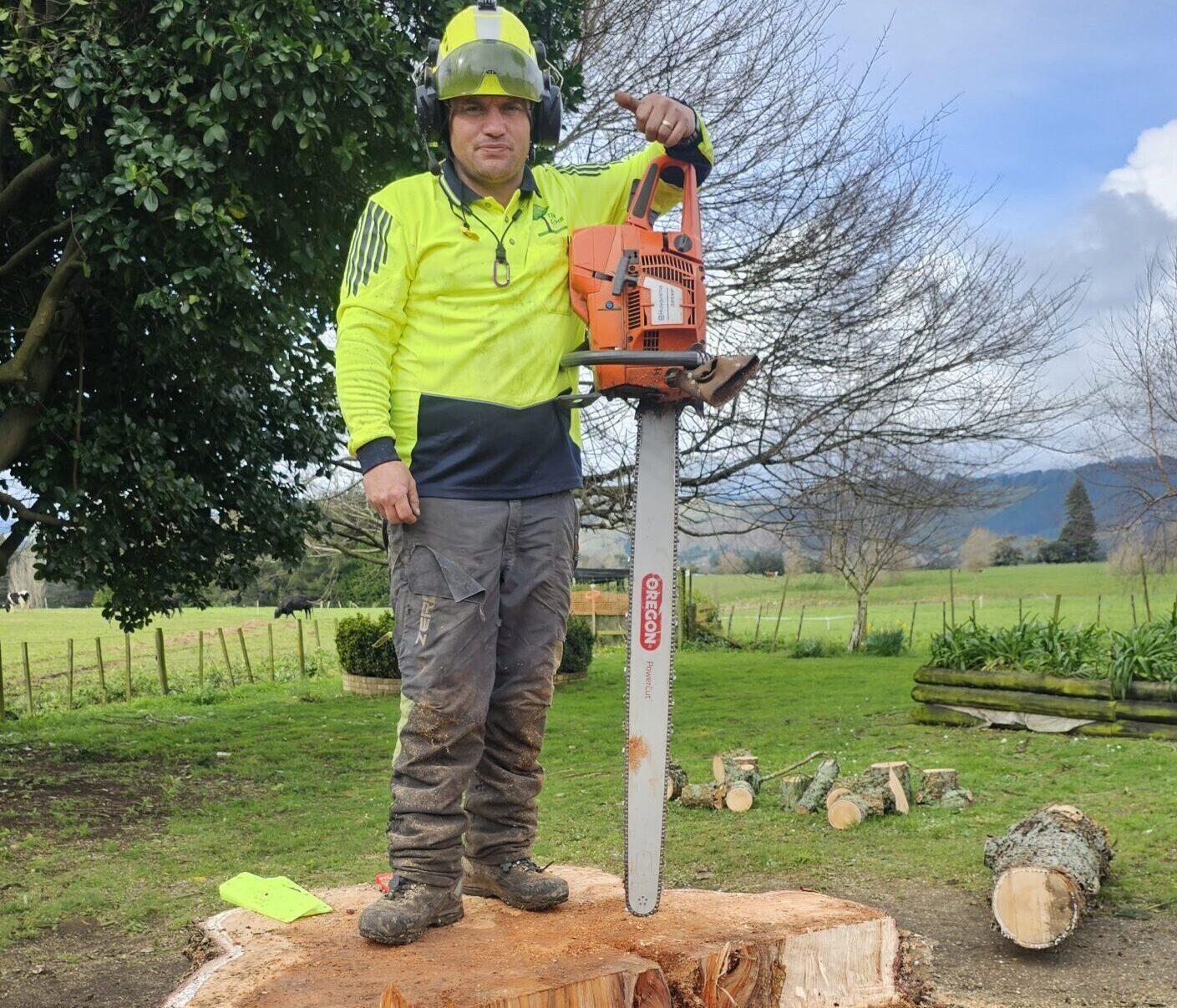 Tree Removal in Manawatu, Otaki, Kapiti & Paraparaumu