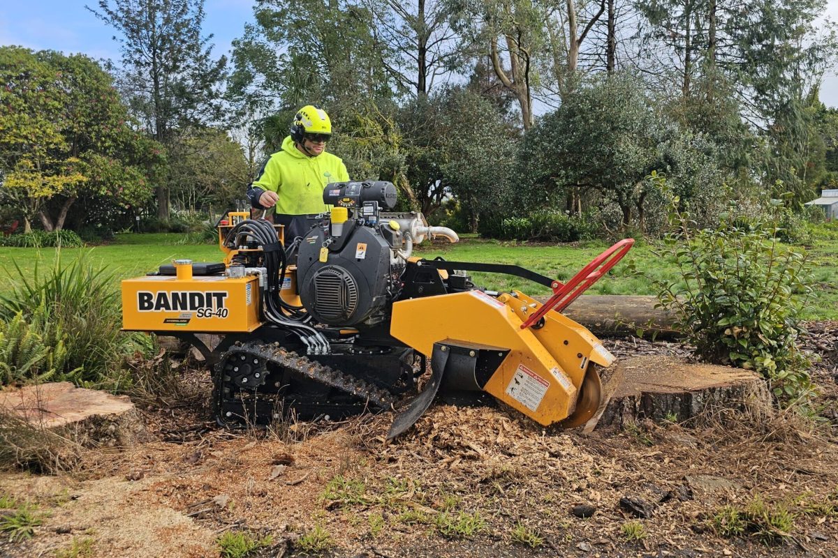 Stump Grinding in Manawatu, Otaki, Kapiti & Paraparaumu